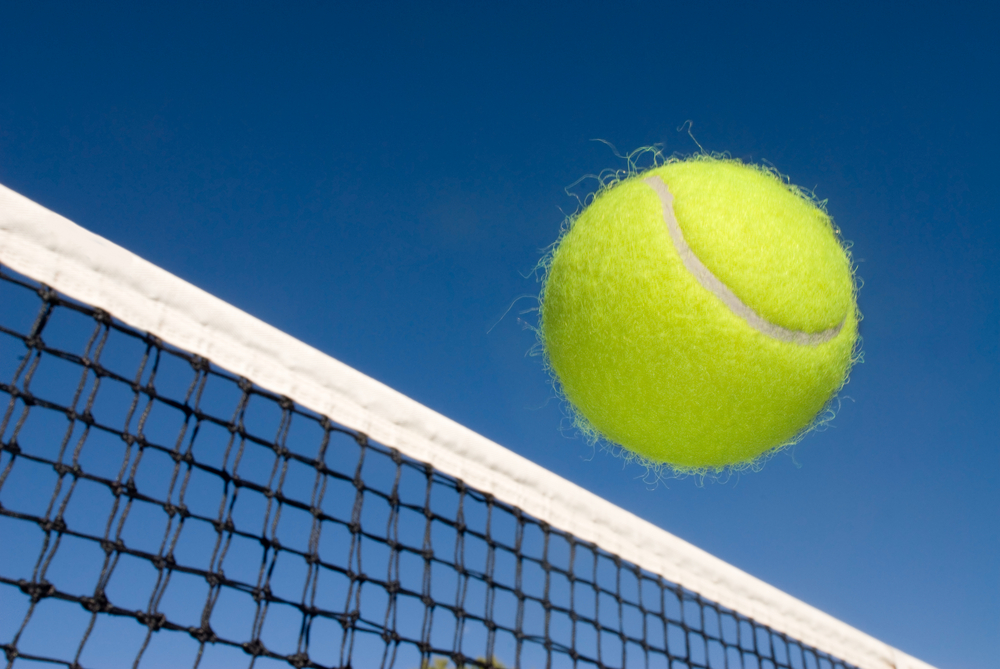 Tennis_ball_net